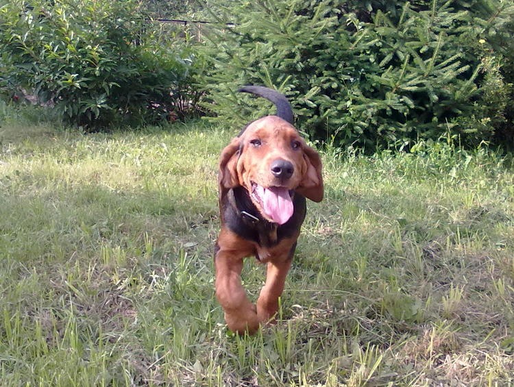 20100626289.jpg