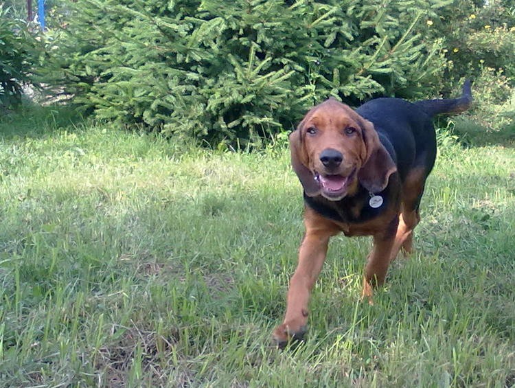 20100626290.jpg
