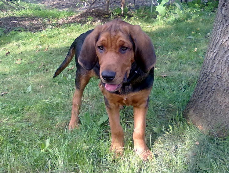 20100626300.jpg