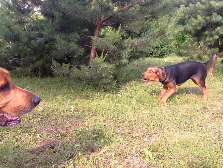 20100626294.jpg