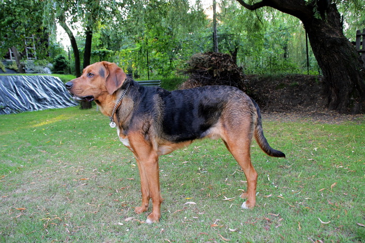 img5727_zmień nazwę.jpg