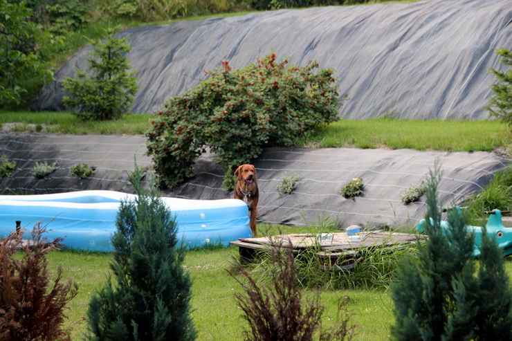 img5757_zmień nazwę.jpg