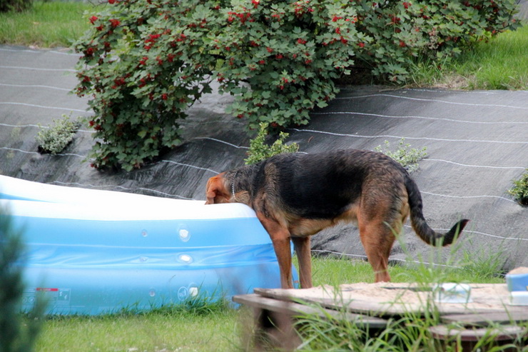 img5777v_zmień nazwę.jpg