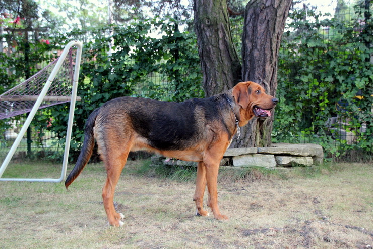 img5790z_zmień nazwę.jpg