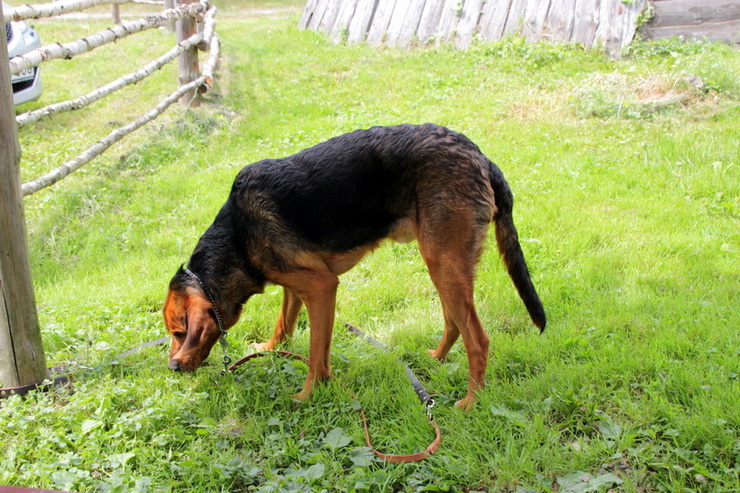 img6146m_zmień nazwę.jpg