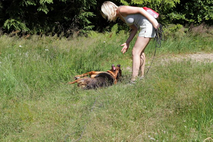 obraz104i_zmień nazwę.jpg