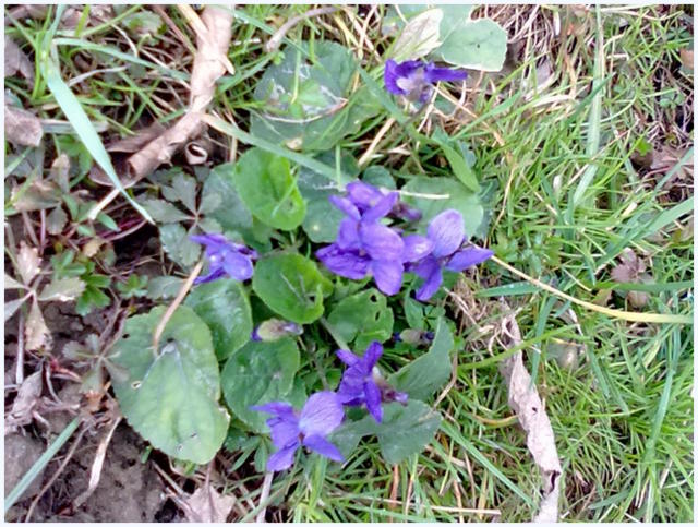 201203301994.jpg