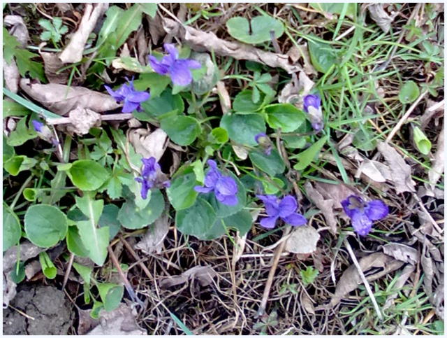 201203301995.jpg