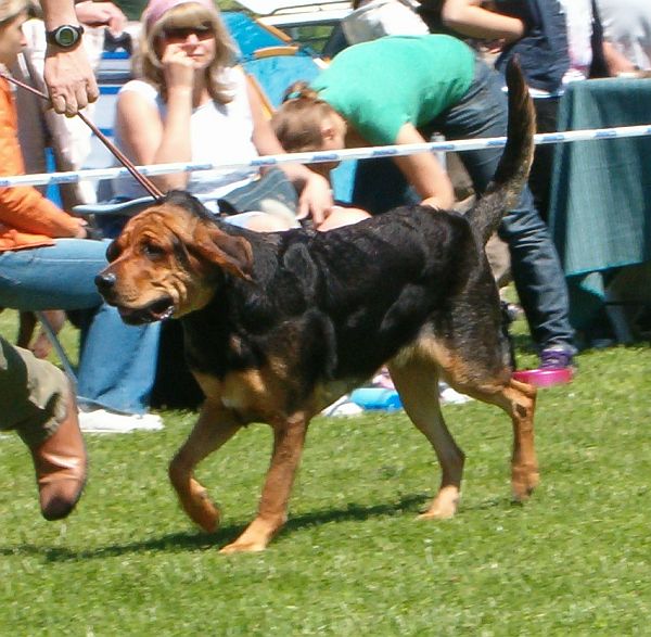 Balt1.jpg