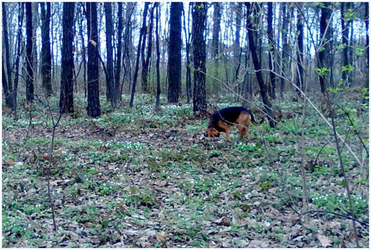 201203291976.jpg
