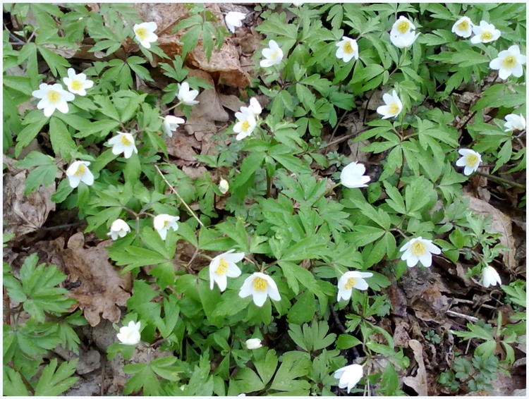 201203291979.jpg