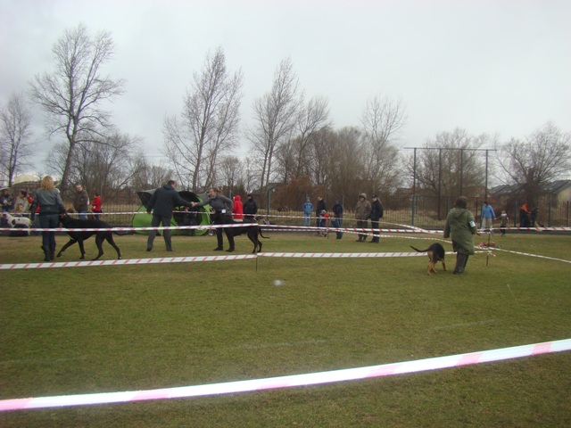 DSC07737.JPG