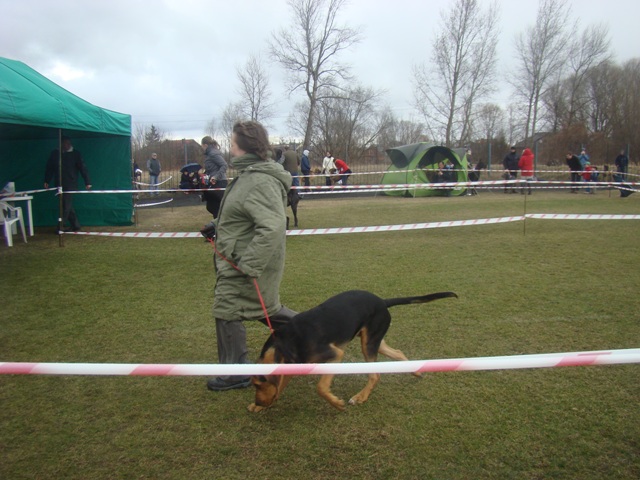 DSC07738.JPG