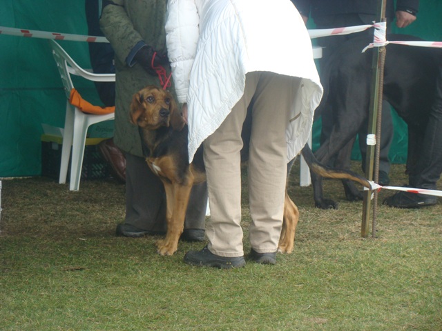 DSC07740.JPG