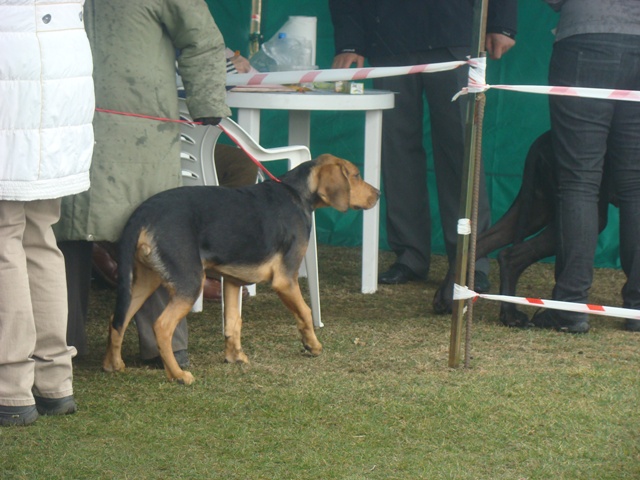 DSC07742.JPG