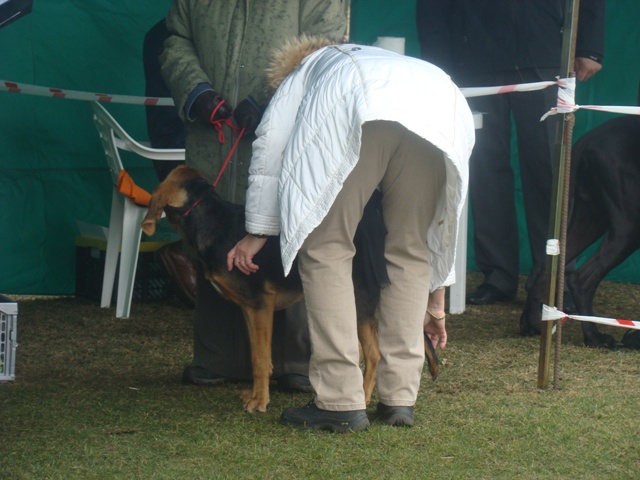 DSC07741.JPG