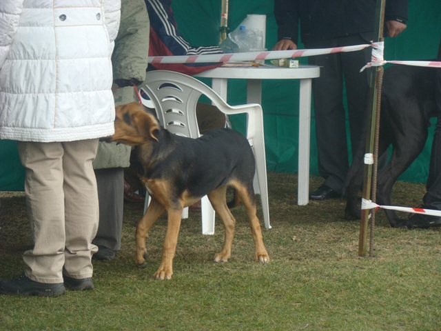 DSC07743.JPG