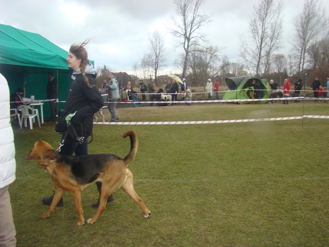 DSC07746.JPG