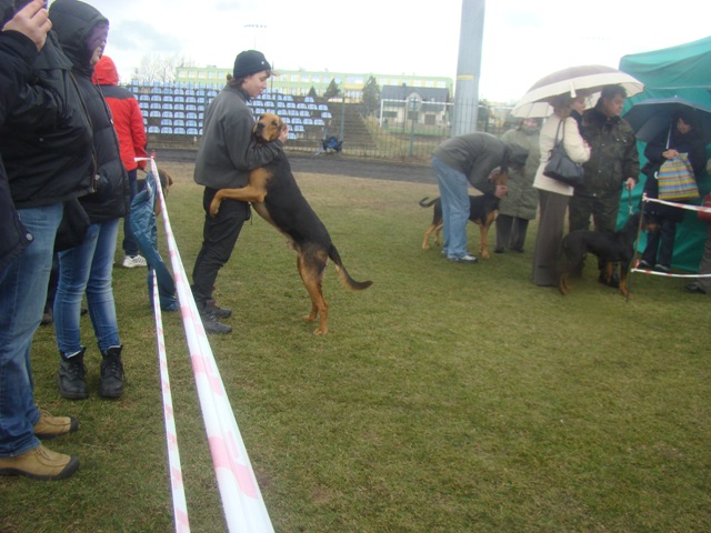 DSC07747.JPG