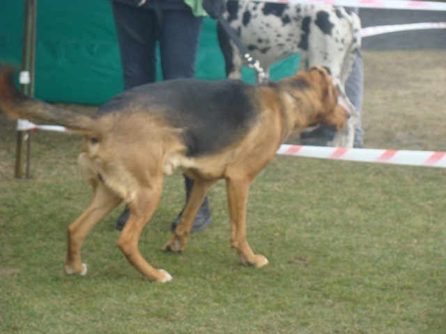 DSC07749.JPG