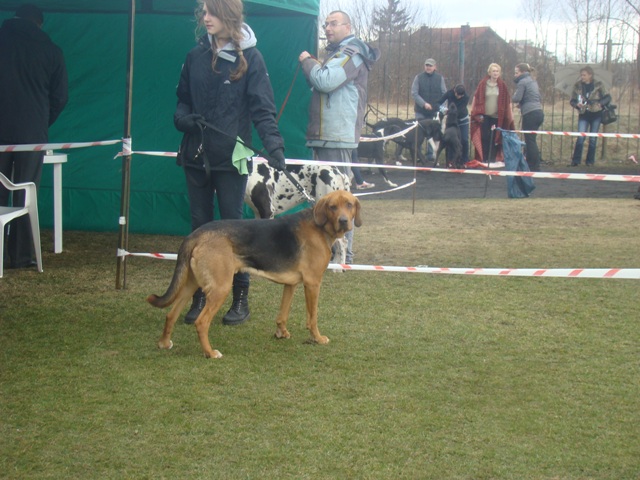 DSC07751.JPG