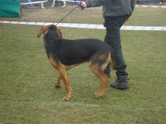 DSC07752.JPG