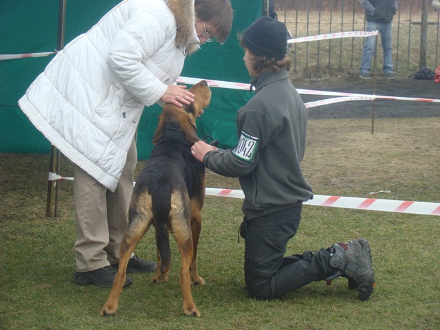 DSC07753.JPG