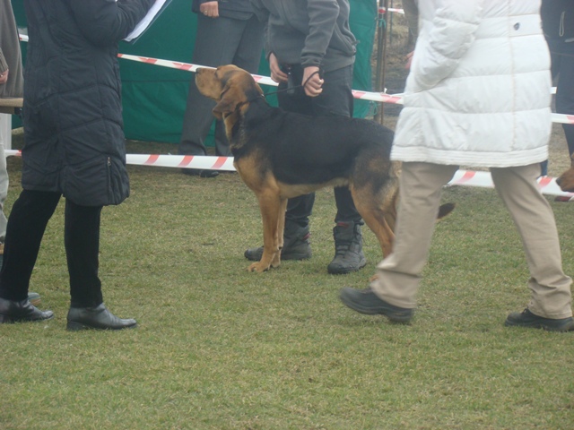 DSC07754.JPG
