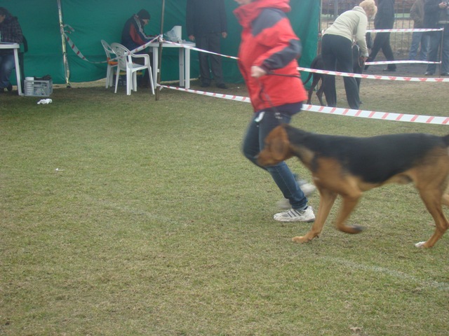 DSC07755.JPG