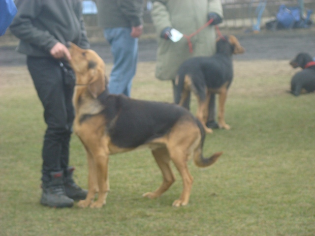 DSC07756.JPG