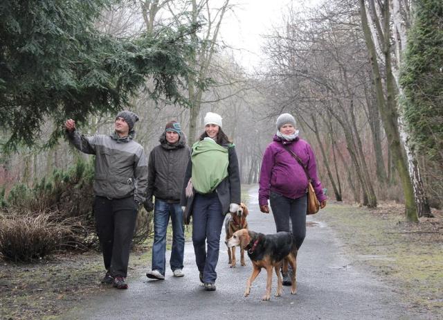 ekipa, tym razem ogry pilnują stadka