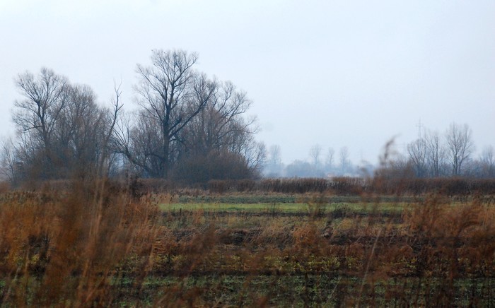 okoliczności przyrody