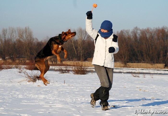 Czyżby naszym przeznaczeniem było frisbee ?