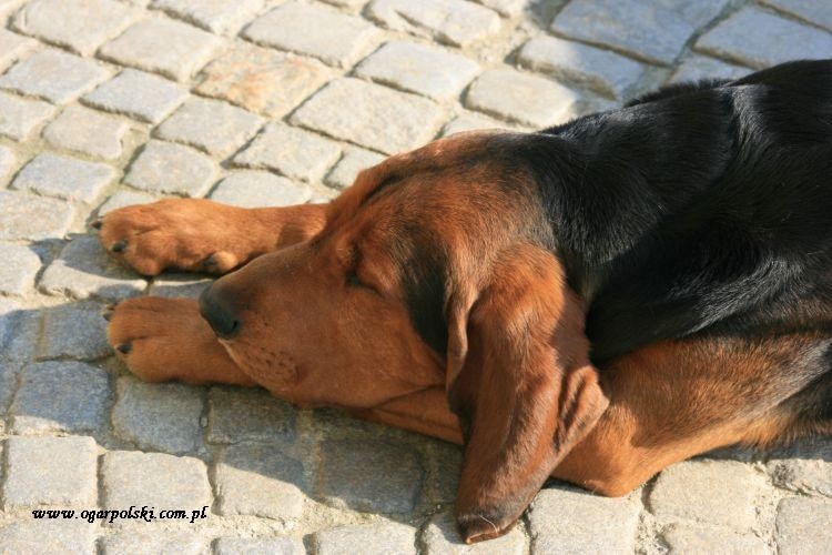 kwiecień 010.jpg