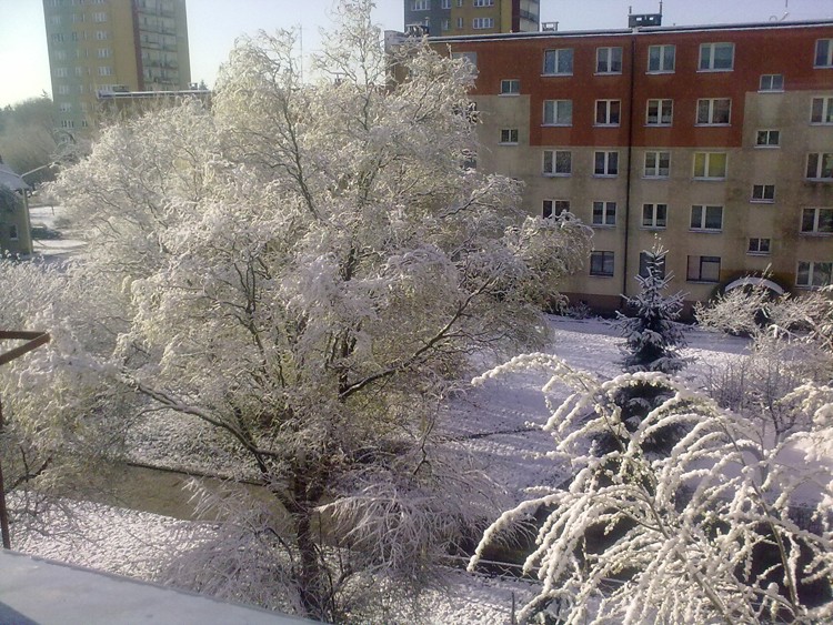 Wiosna u nas w tym roku wygląda tak... O_o