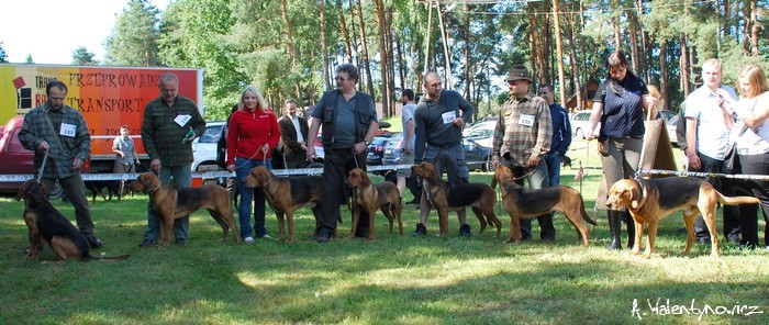 i zwycięskie Ogarusy  :brawo_1: