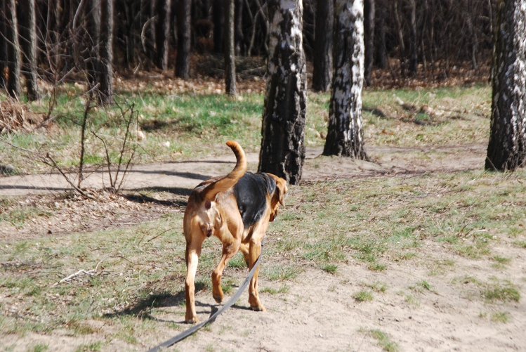 DSC_0009.JPG