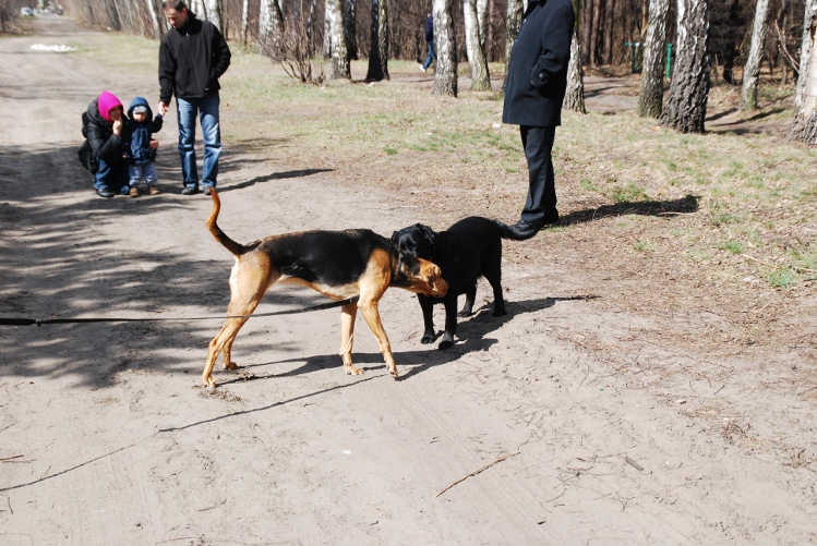 DSC_0032.JPG