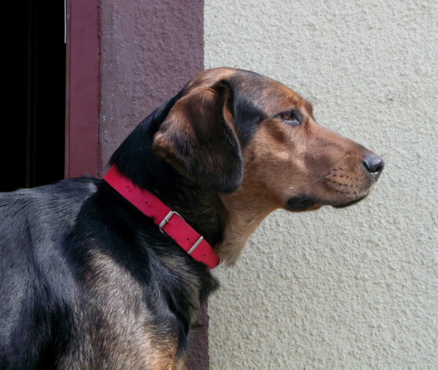 DSCF9432.JPG