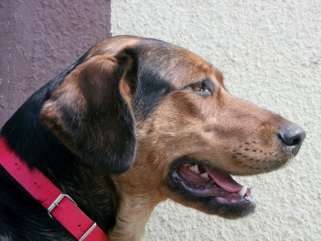 DSCF9434.JPG