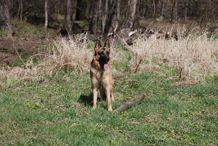 DSC_0650.JPG