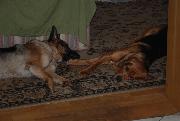 DSC_0566.JPG