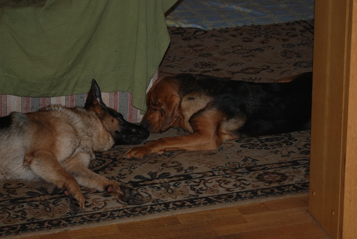 DSC_0567.JPG