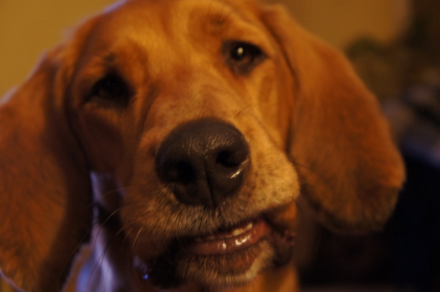 DSC00011 (640x425).jpg
