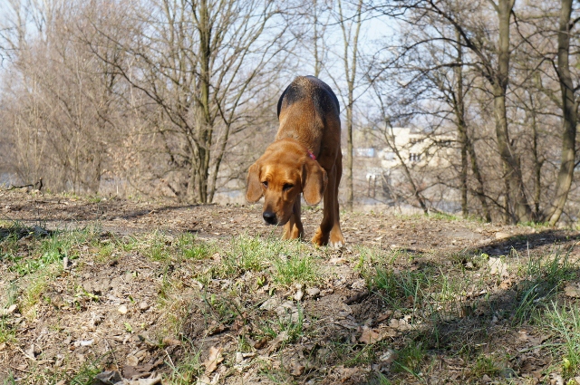 DSC00027 (640x425).jpg