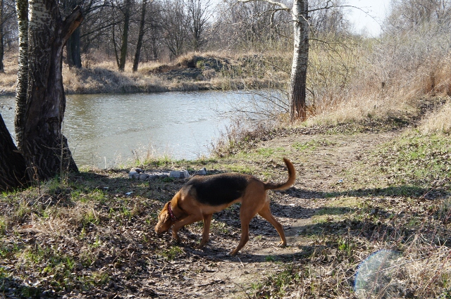DSC00035 (640x425).jpg