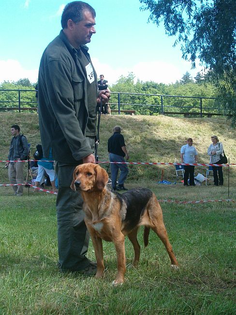 Jara z Jaśminowej Ulicy