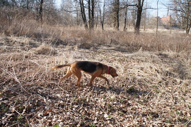 DSC00068 (640x425).jpg