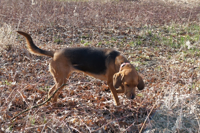 DSC00070 (640x425).jpg