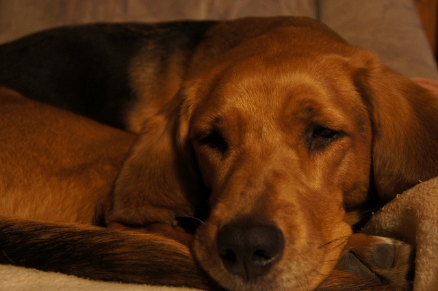 DSC00091 (640x425).jpg